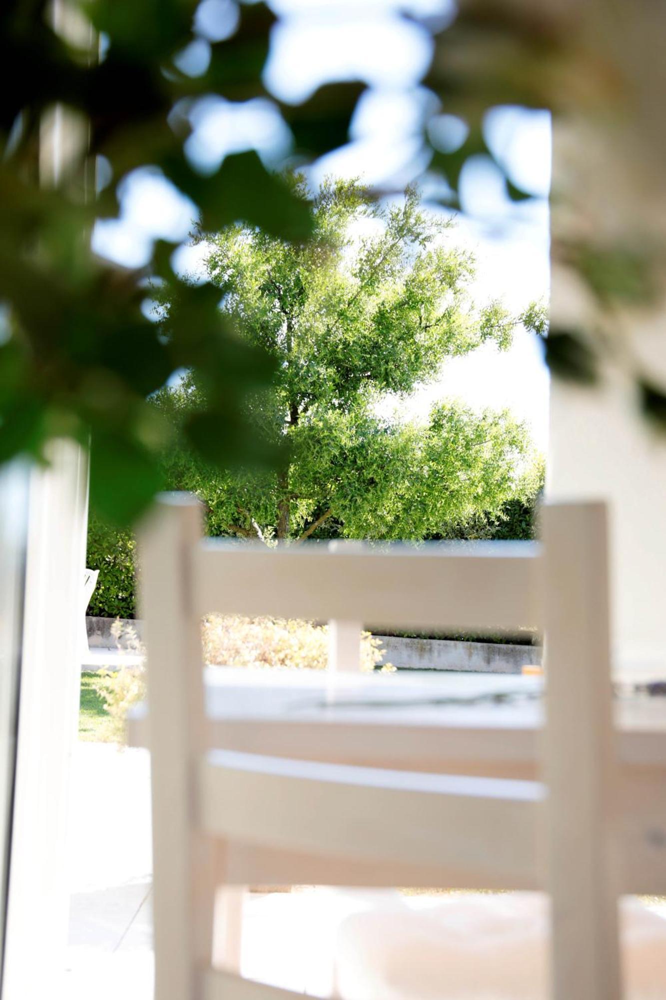 Residence Gonda&Giuliano Borso del Grappa Kültér fotó